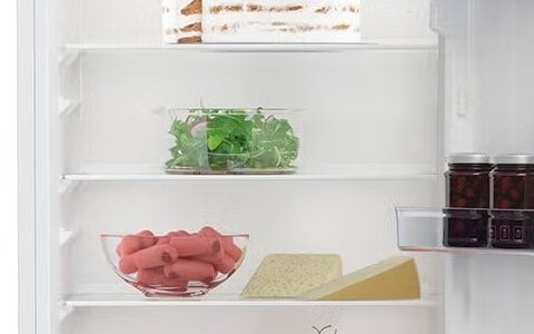 Adjustable Shelves